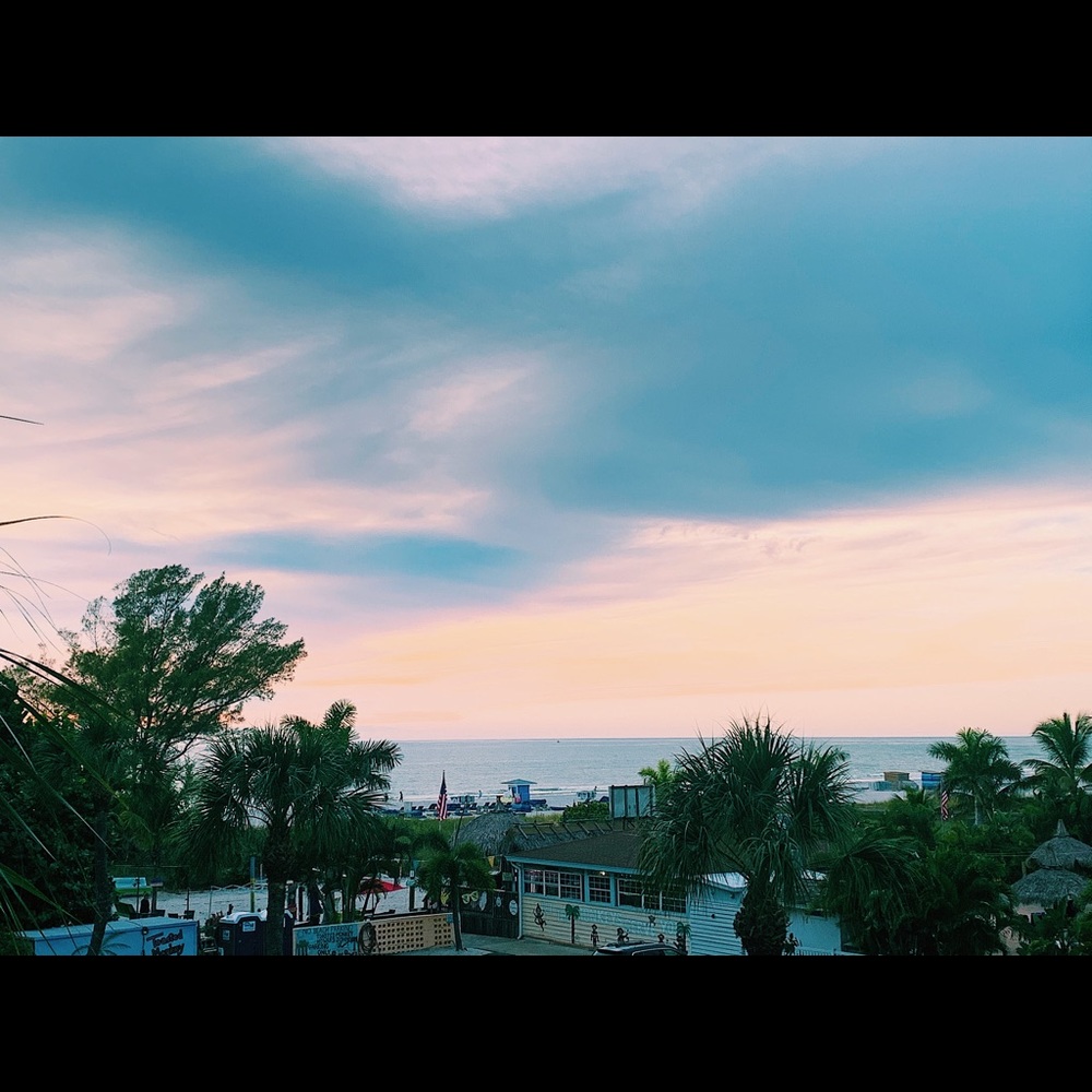 Meet your Posher, Bree